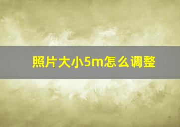 照片大小5m怎么调整