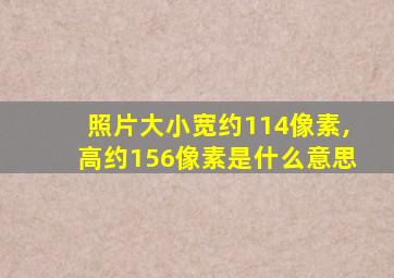 照片大小宽约114像素,高约156像素是什么意思