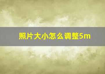 照片大小怎么调整5m