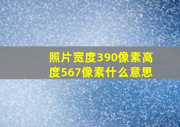 照片宽度390像素高度567像素什么意思