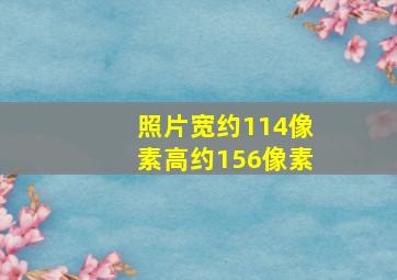 照片宽约114像素高约156像素