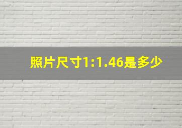 照片尺寸1:1.46是多少