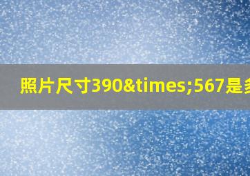 照片尺寸390×567是多大