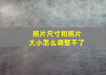 照片尺寸和照片大小怎么调整不了