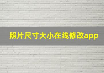 照片尺寸大小在线修改app