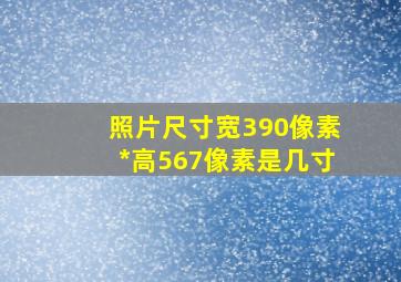 照片尺寸宽390像素*高567像素是几寸