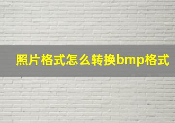 照片格式怎么转换bmp格式