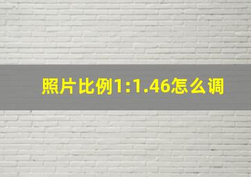 照片比例1:1.46怎么调