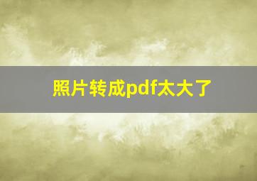 照片转成pdf太大了