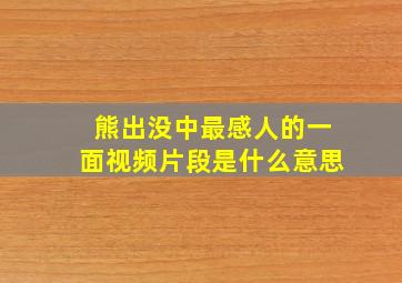 熊出没中最感人的一面视频片段是什么意思