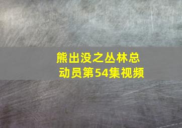 熊出没之丛林总动员第54集视频