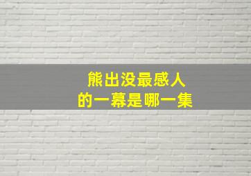 熊出没最感人的一幕是哪一集