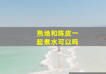 熟地和陈皮一起煮水可以吗