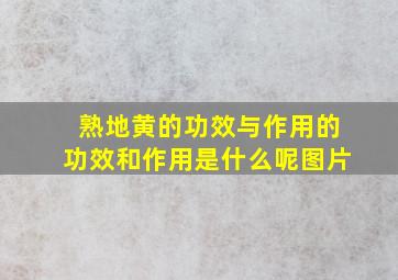 熟地黄的功效与作用的功效和作用是什么呢图片