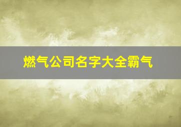 燃气公司名字大全霸气