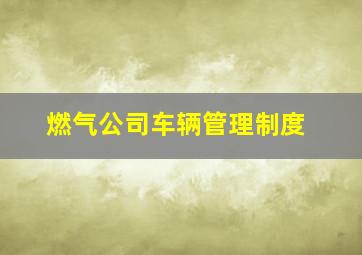 燃气公司车辆管理制度