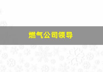 燃气公司领导