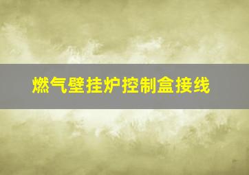 燃气壁挂炉控制盒接线