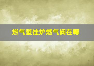 燃气壁挂炉燃气阀在哪