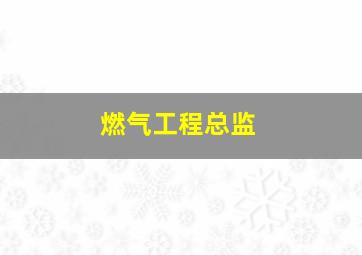 燃气工程总监