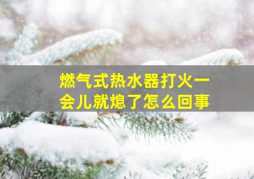 燃气式热水器打火一会儿就熄了怎么回事