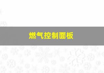 燃气控制面板