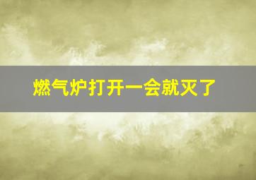 燃气炉打开一会就灭了