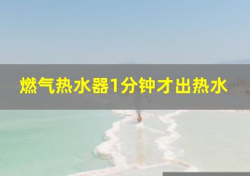 燃气热水器1分钟才出热水