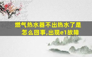 燃气热水器不出热水了是怎么回事,出现e1故障