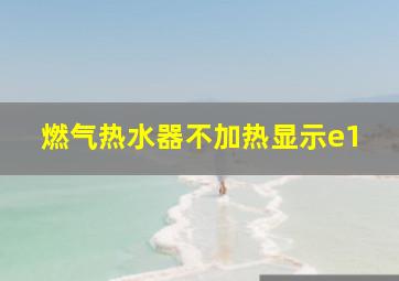 燃气热水器不加热显示e1