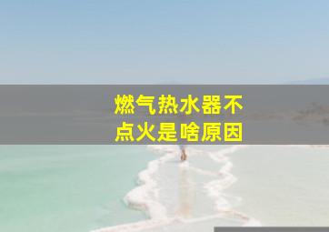 燃气热水器不点火是啥原因