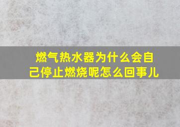 燃气热水器为什么会自己停止燃烧呢怎么回事儿