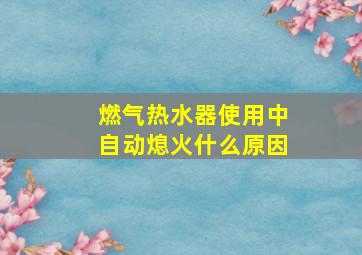 燃气热水器使用中自动熄火什么原因