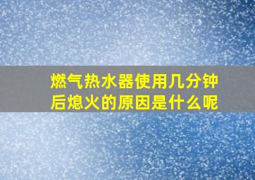 燃气热水器使用几分钟后熄火的原因是什么呢