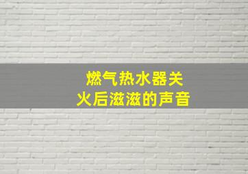 燃气热水器关火后滋滋的声音