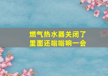 燃气热水器关闭了里面还嗡嗡响一会