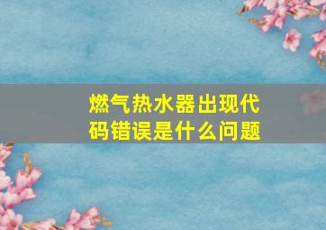 燃气热水器出现代码错误是什么问题