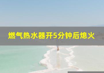 燃气热水器开5分钟后熄火