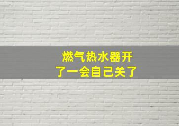 燃气热水器开了一会自己关了