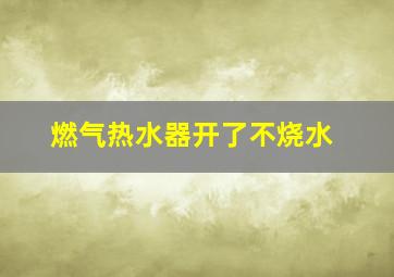 燃气热水器开了不烧水