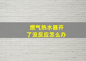 燃气热水器开了没反应怎么办