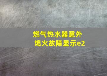 燃气热水器意外熄火故障显示e2