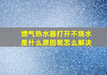 燃气热水器打开不烧水是什么原因呢怎么解决