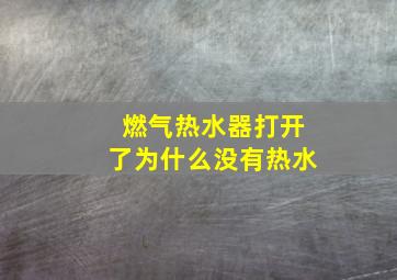 燃气热水器打开了为什么没有热水