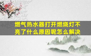 燃气热水器打开燃烧灯不亮了什么原因呢怎么解决