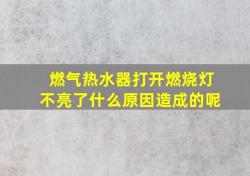 燃气热水器打开燃烧灯不亮了什么原因造成的呢