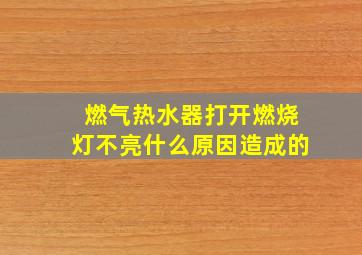 燃气热水器打开燃烧灯不亮什么原因造成的