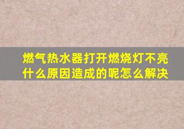 燃气热水器打开燃烧灯不亮什么原因造成的呢怎么解决