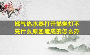 燃气热水器打开燃烧灯不亮什么原因造成的怎么办