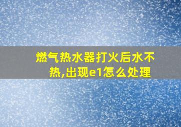 燃气热水器打火后水不热,出现e1怎么处理